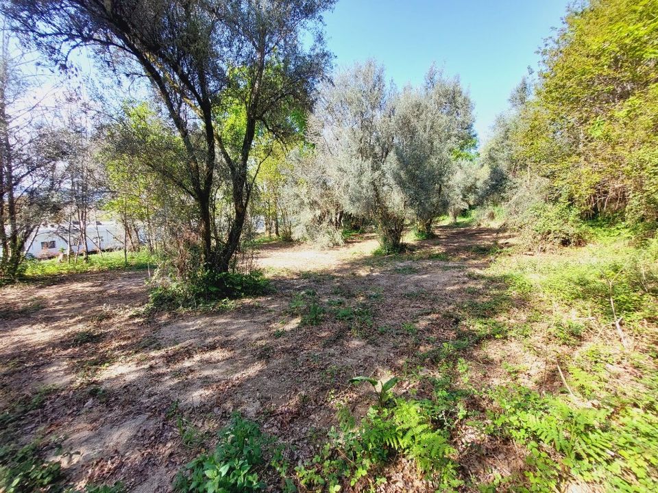 Helårsgrund i Amares, Braga - foto 1