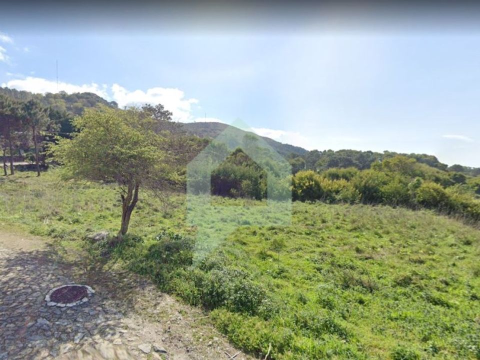 Tomt i Caminha, Viana do Castelo - bilde 2