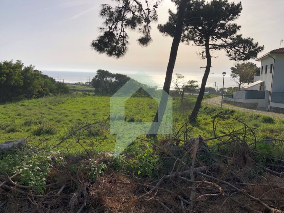 Tomt i Caminha, Viana do Castelo - bilde 3
