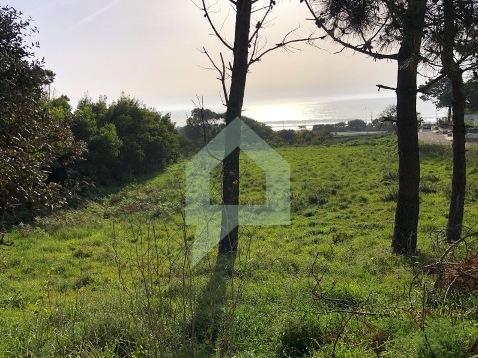 Tomt i Caminha, Viana do Castelo - bilde 4