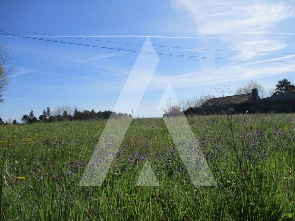 Helårsgrund i Oliveira do Bairro, Aveiro - foto 2