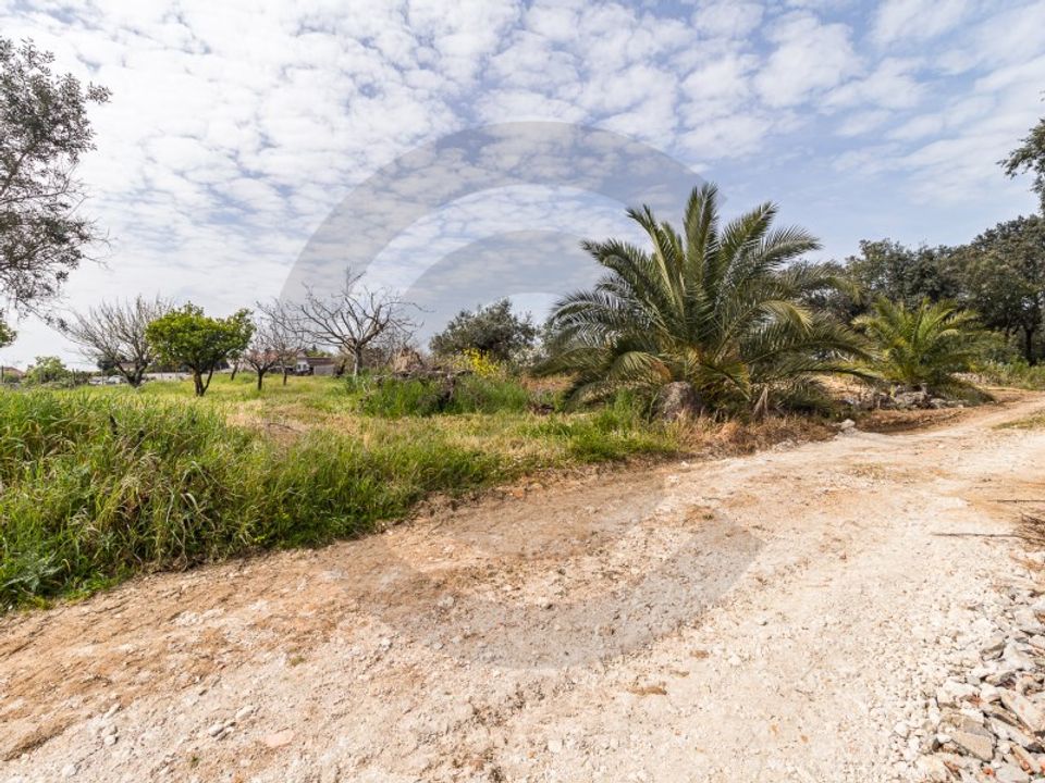 Terreno en Assentiz, Santarem - foto 1