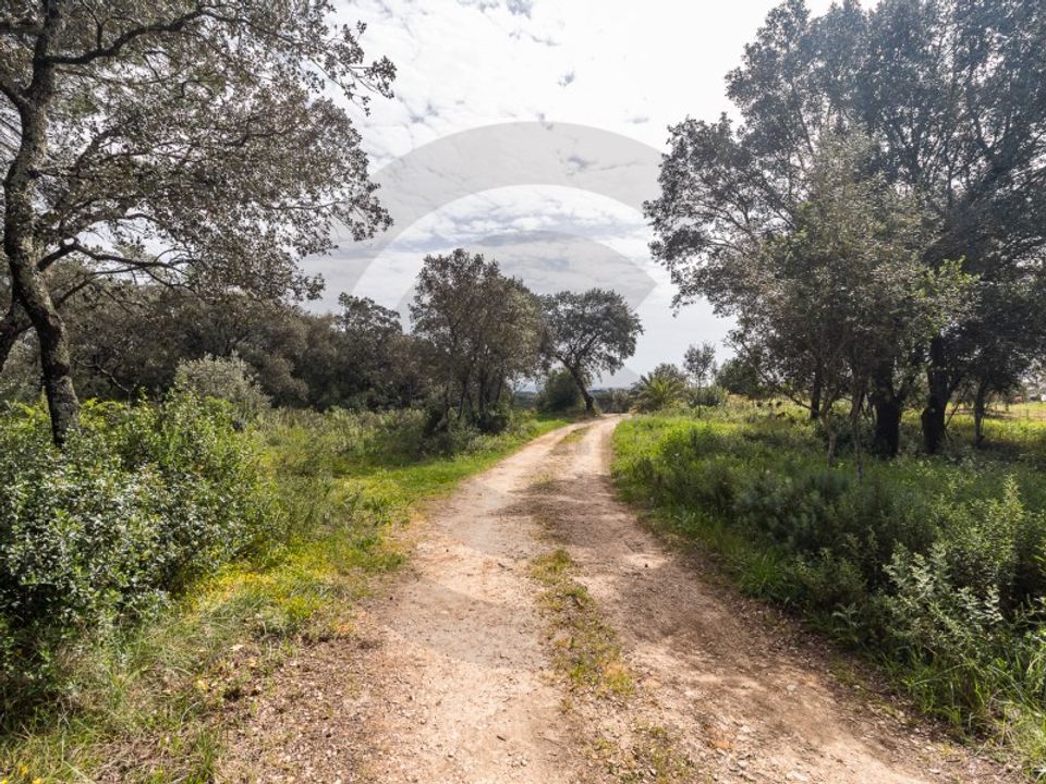 Terreno en Assentiz, Santarem - foto 3