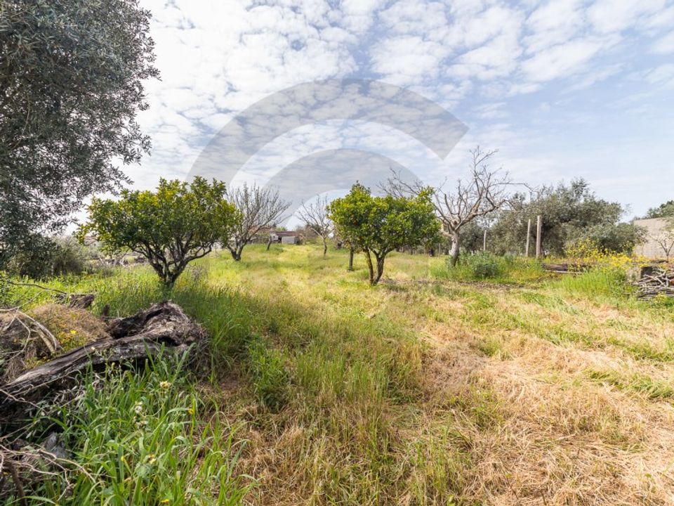 Terreno en Assentiz, Santarem - foto 4