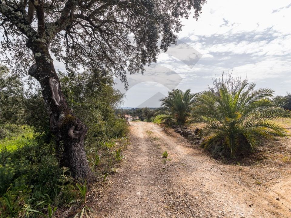 Terreno en Assentiz, Santarem - foto 5