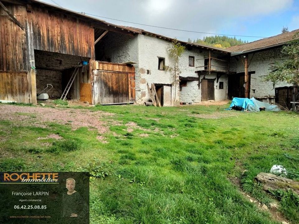 Masia a Saint-Romain-d'Urfe, Loire - foto 3
