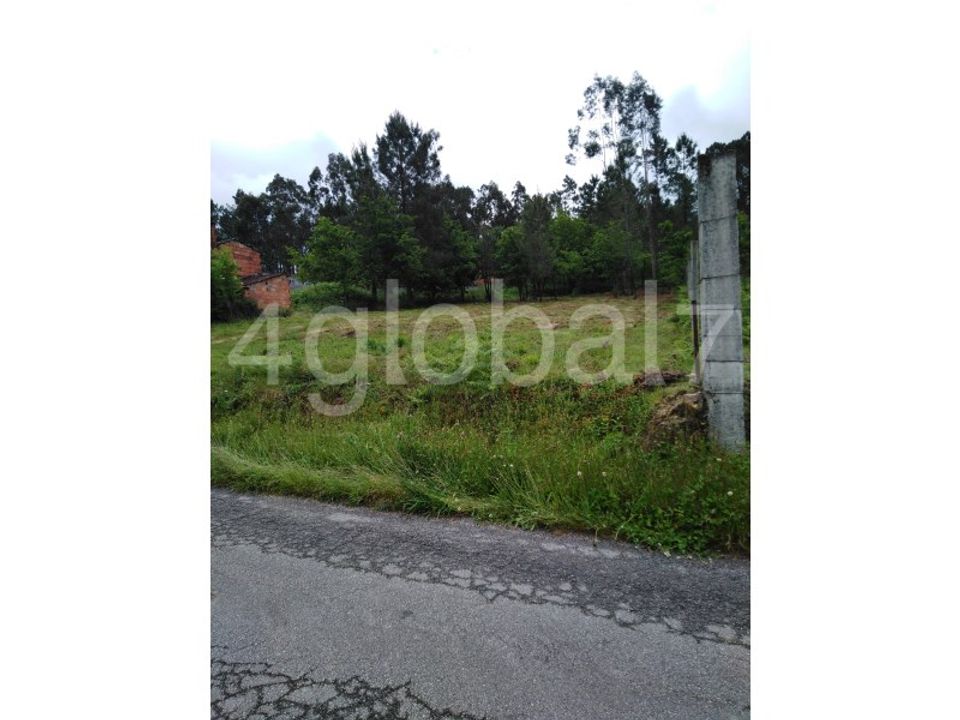 Helårsgrund i Carvalhais e Candal, Viseu - foto 2