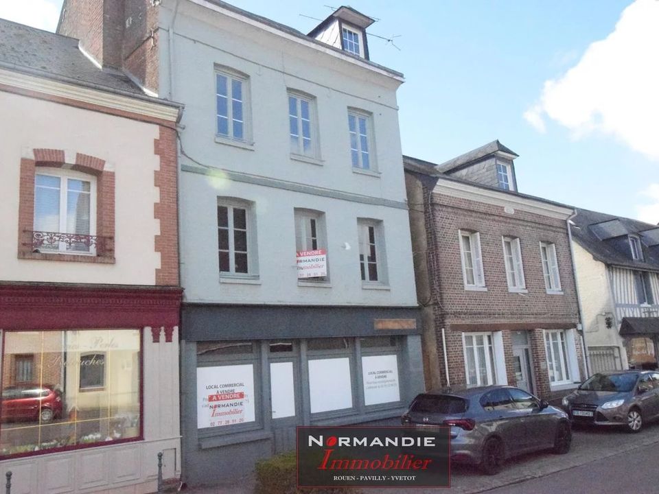 Villa i Val-de-Saâne, Seine-Maritime - foto 5