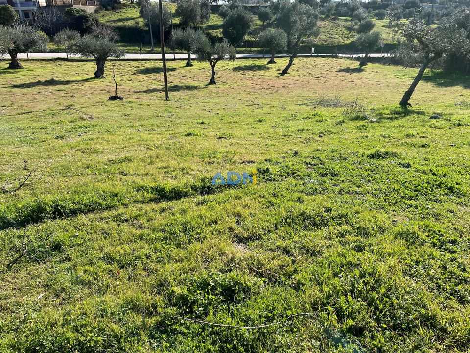 Helårsgrund i Zebreira e Segura, Castelo Branco - foto 3