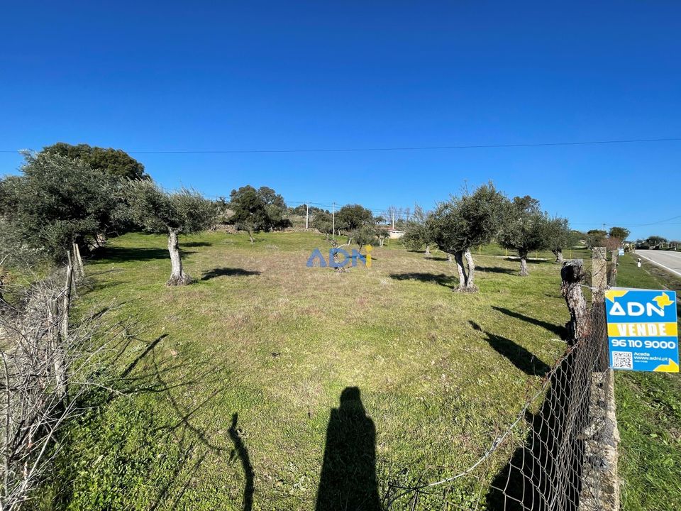 Helårsgrund i Zebreira e Segura, Castelo Branco - foto 4