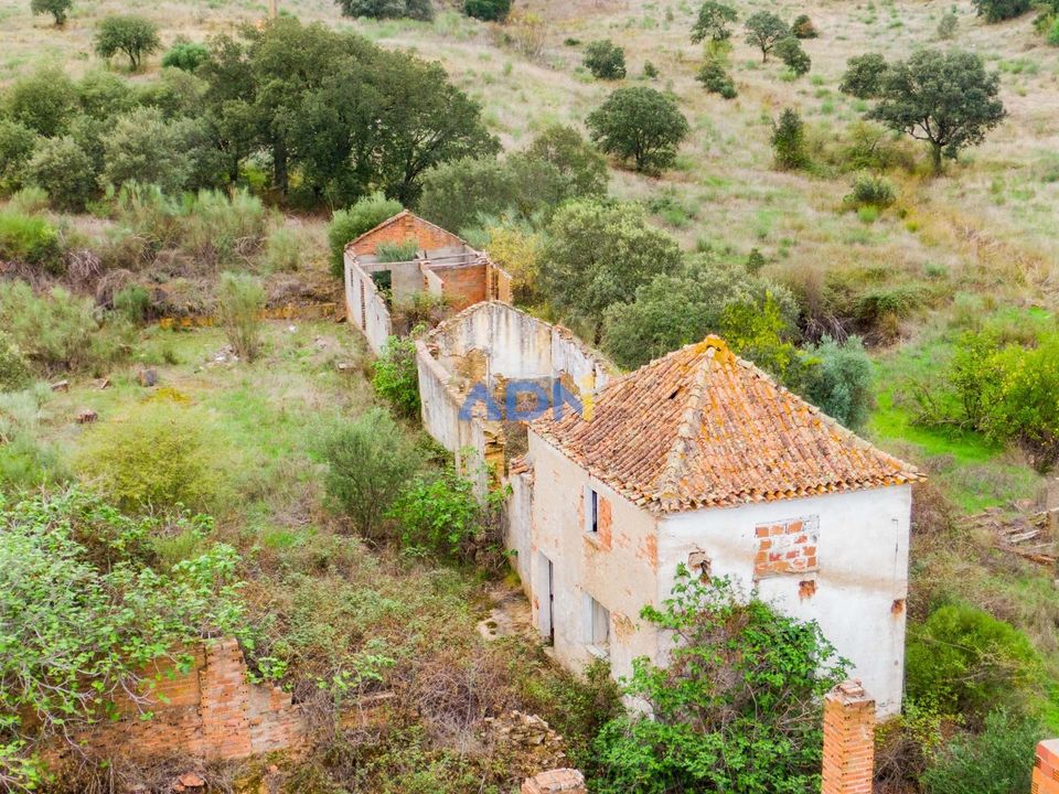 Ruinere i Castelo Branco, Castelo Branco - foto 2