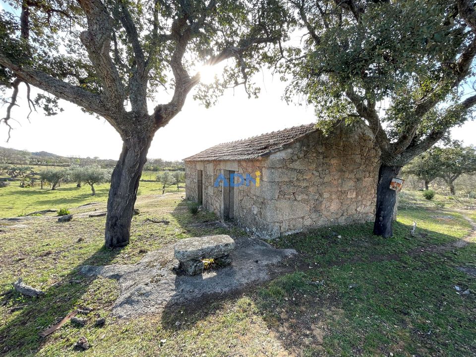 Farm hus i Monsanto e Idanha-a-Velha, Castelo Branco - foto 4