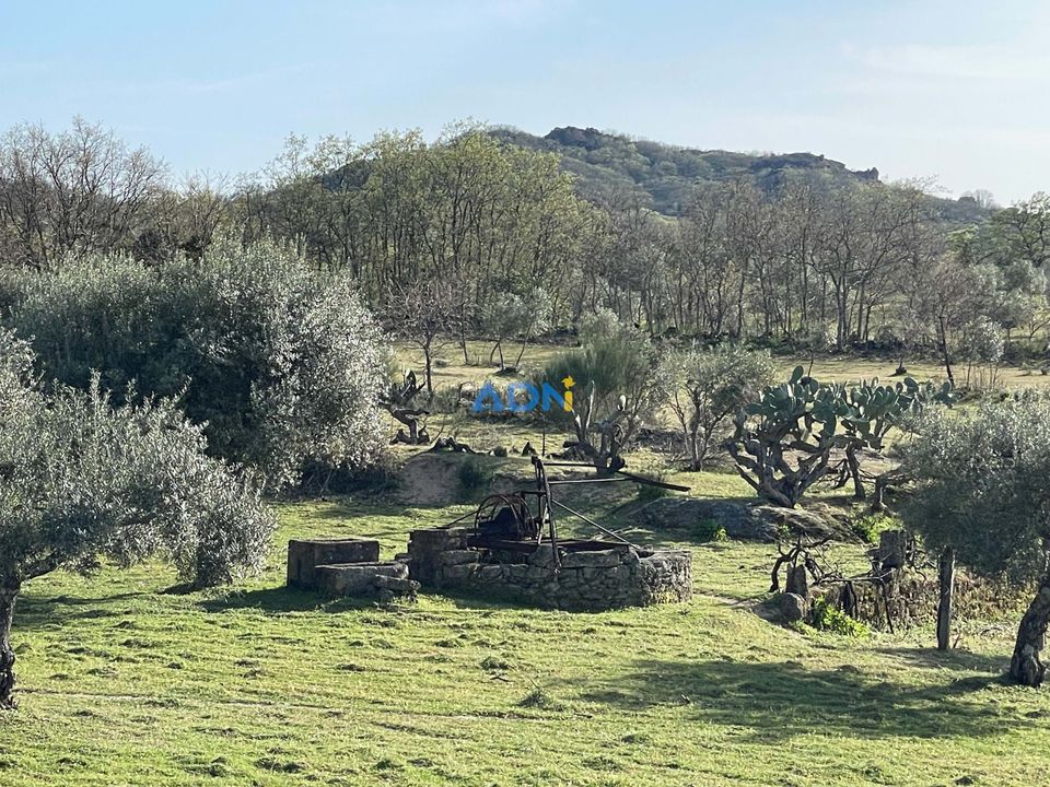 Farm hus i Monsanto e Idanha-a-Velha, Castelo Branco - foto 5