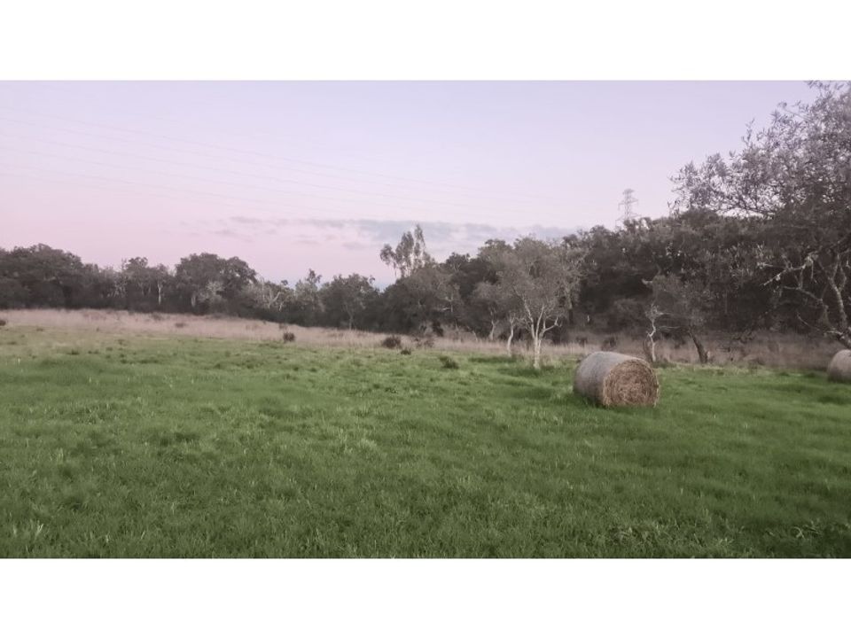 Herregård i Cercal do Alentejo, Setubal - bilde 5