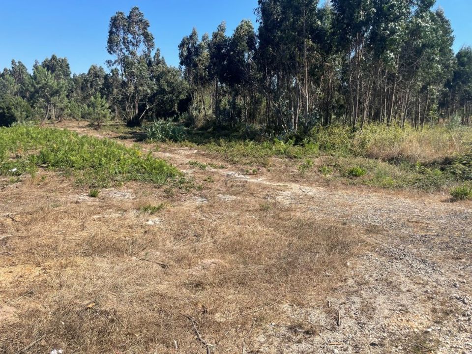 Farm i Santo Onofre e Serra do Bouro, Leiria - foto 1
