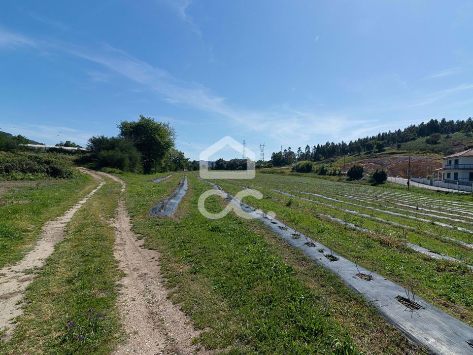 Farm hus i Povoa de Lanhoso, Braga - foto 3