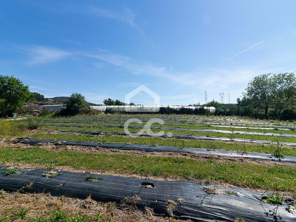 Farm hus i Povoa de Lanhoso, Braga - foto 4