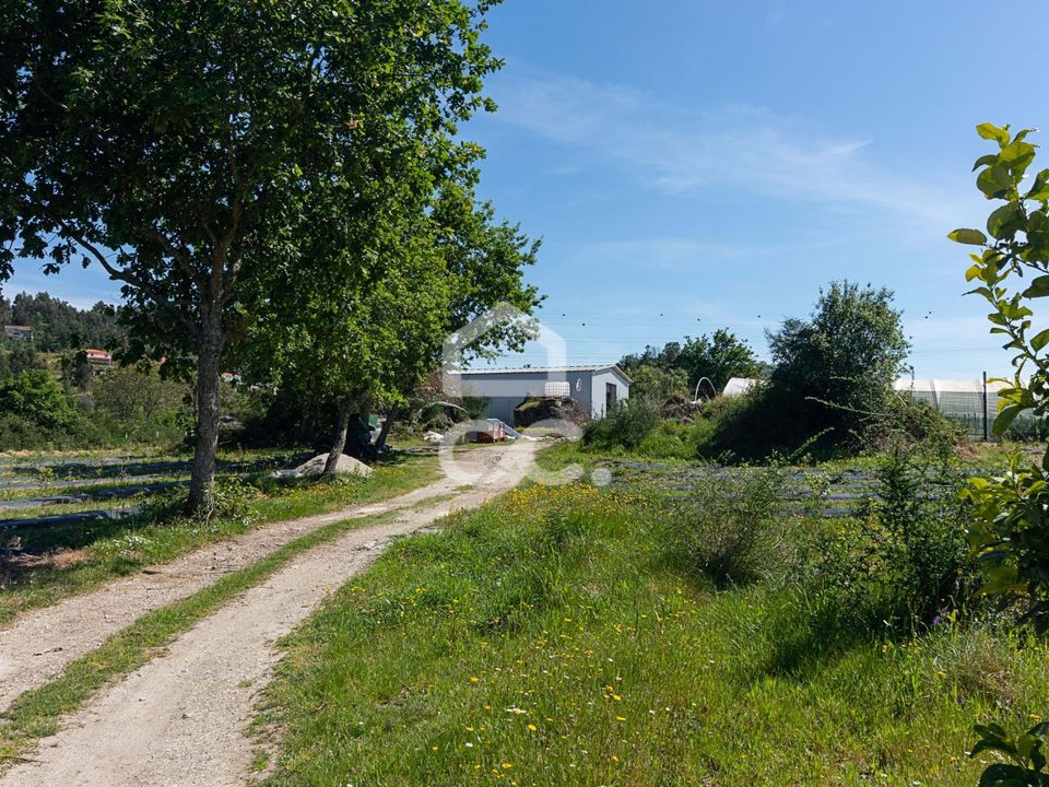 Farm hus i Povoa de Lanhoso, Braga - foto 5