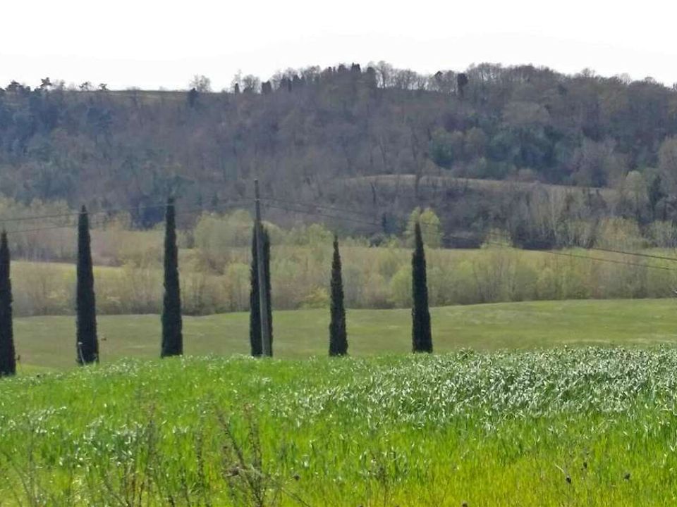 Landejendom i Peccioli, Pisa - foto 3