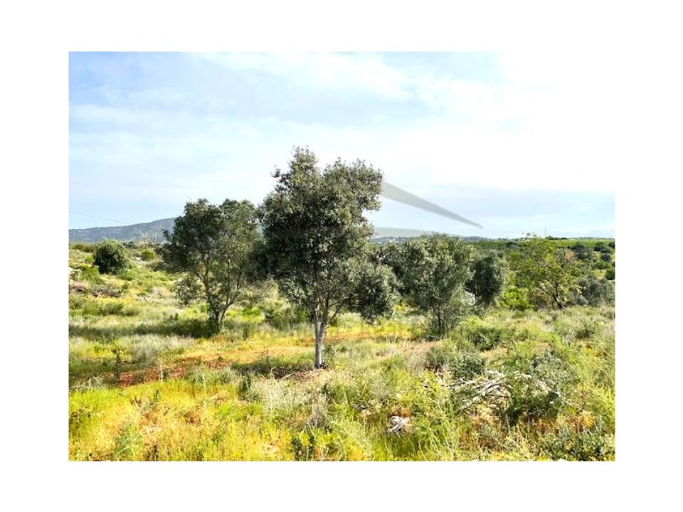 Helårsgrund i Quelfes, Faro - foto 3