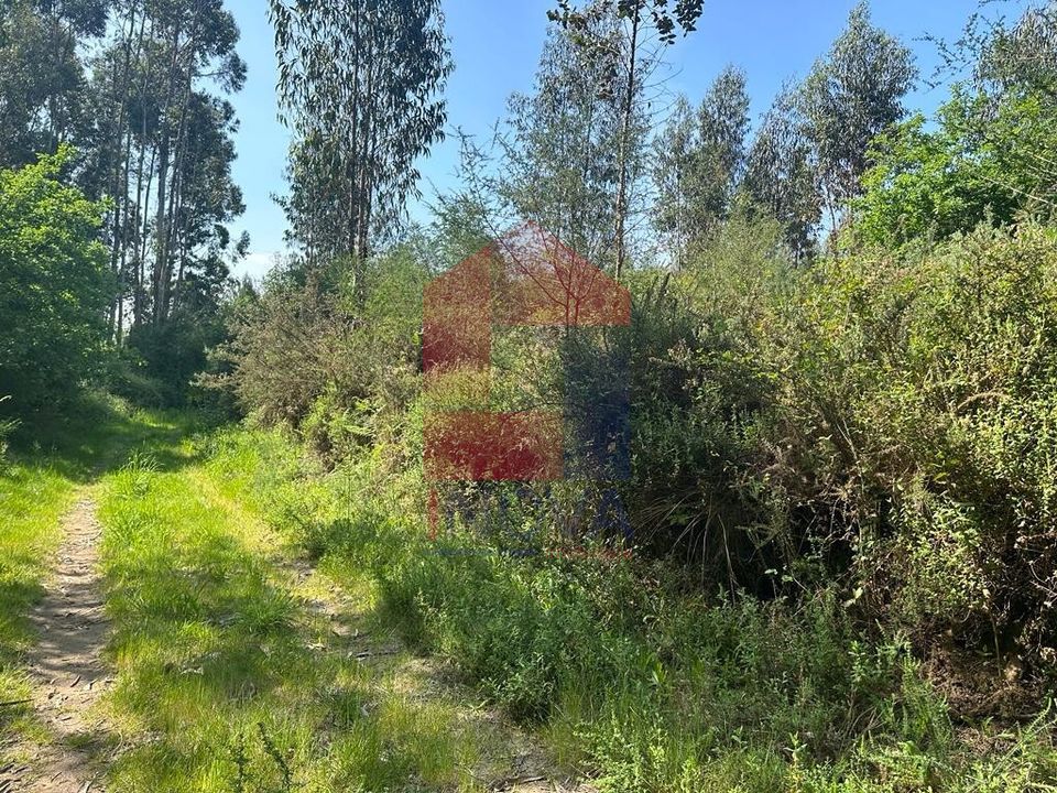 Helårsgrund i Vila Verde, Braga - foto 1
