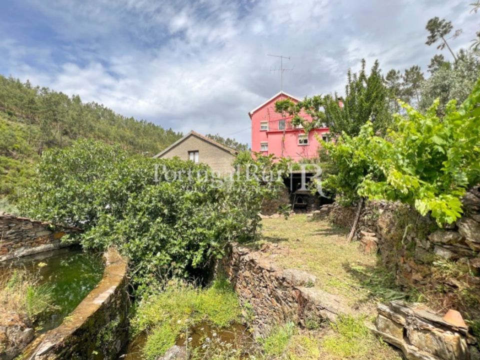 Farm i Cambas, Castelo Branco - foto 3