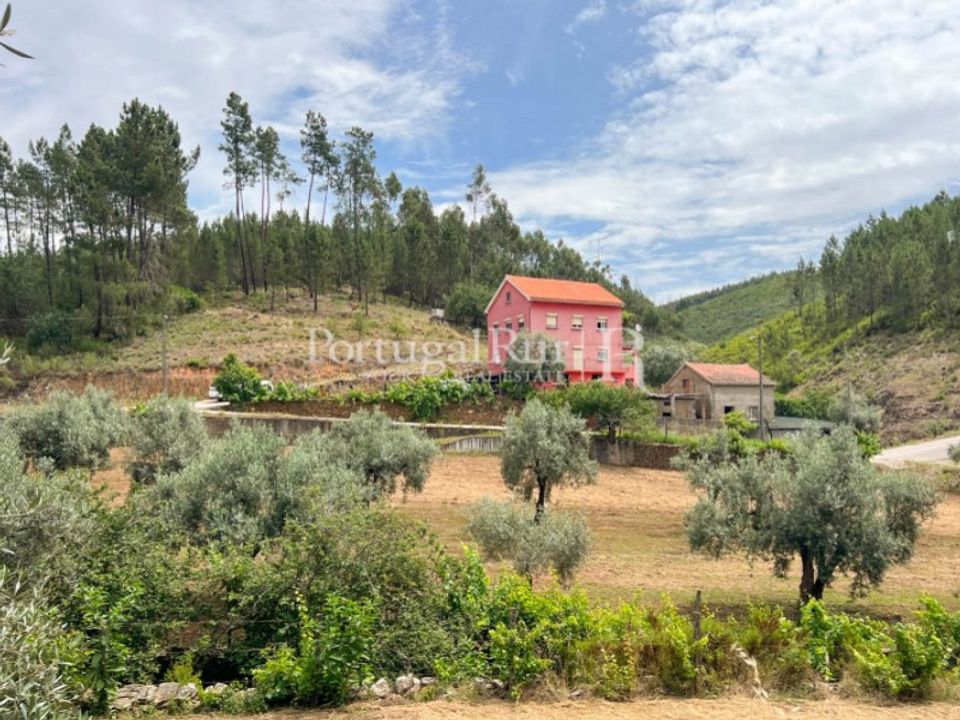 Farm i Cambas, Castelo Branco - foto 4