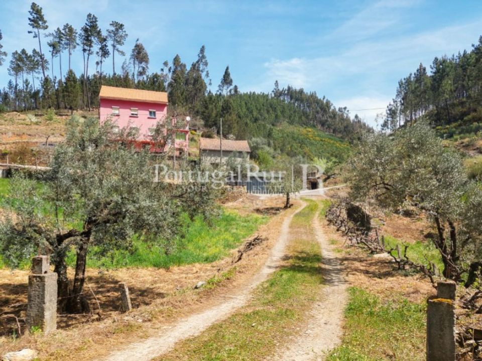 Farm i Cambas, Castelo Branco - foto 5