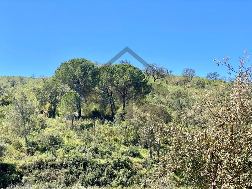 Helårsgrund i Silves, Faro - foto 5