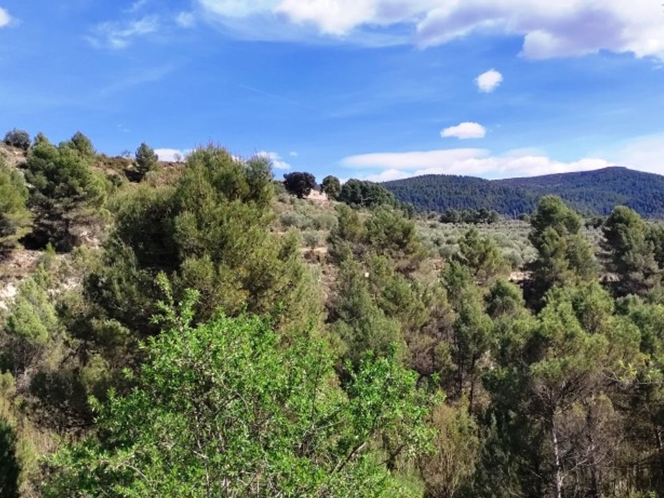 Helårsgrund i Penaguila, Alicante - foto 3