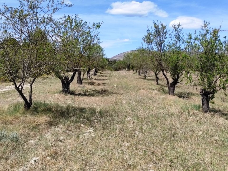Helårsgrund i Penaguila, Alicante - foto 4