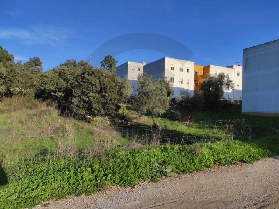Terra em Minde, Santarem - foto 1