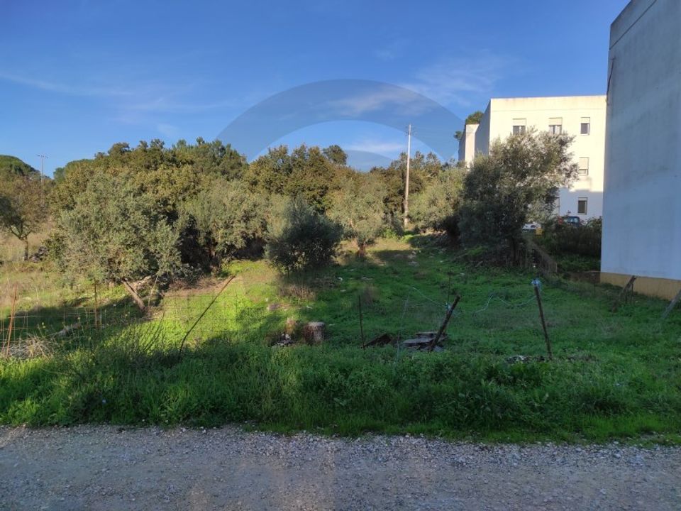 Terra em Minde, Santarem - foto 2
