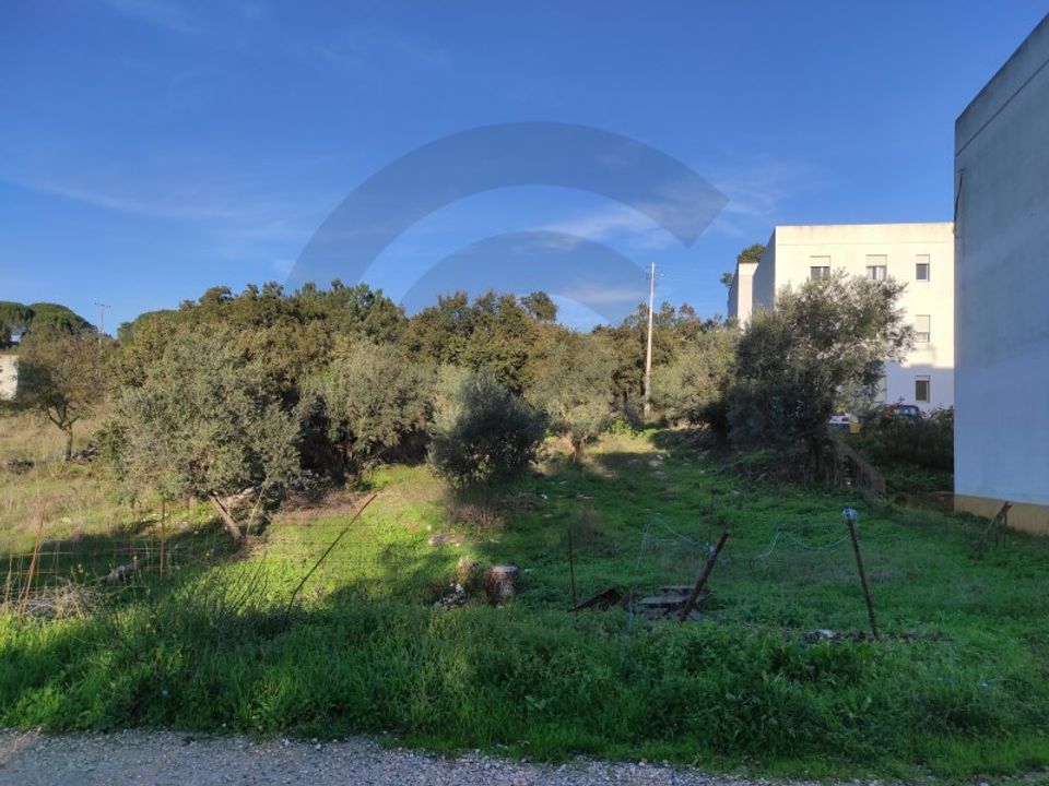 Terra em Minde, Santarem - foto 3