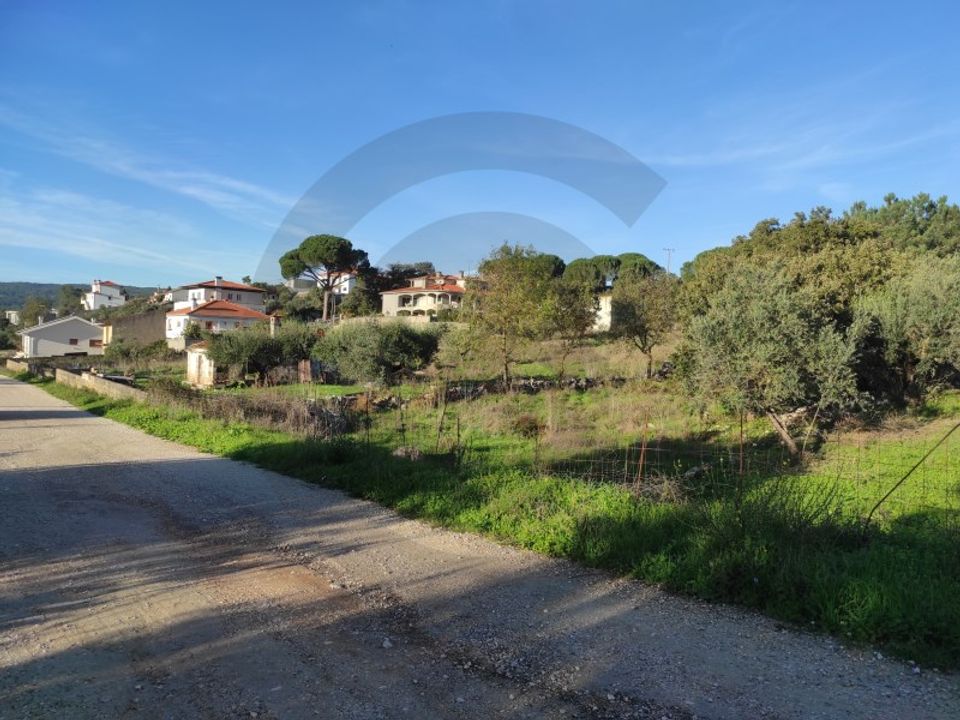 Terra em Minde, Santarem - foto 4