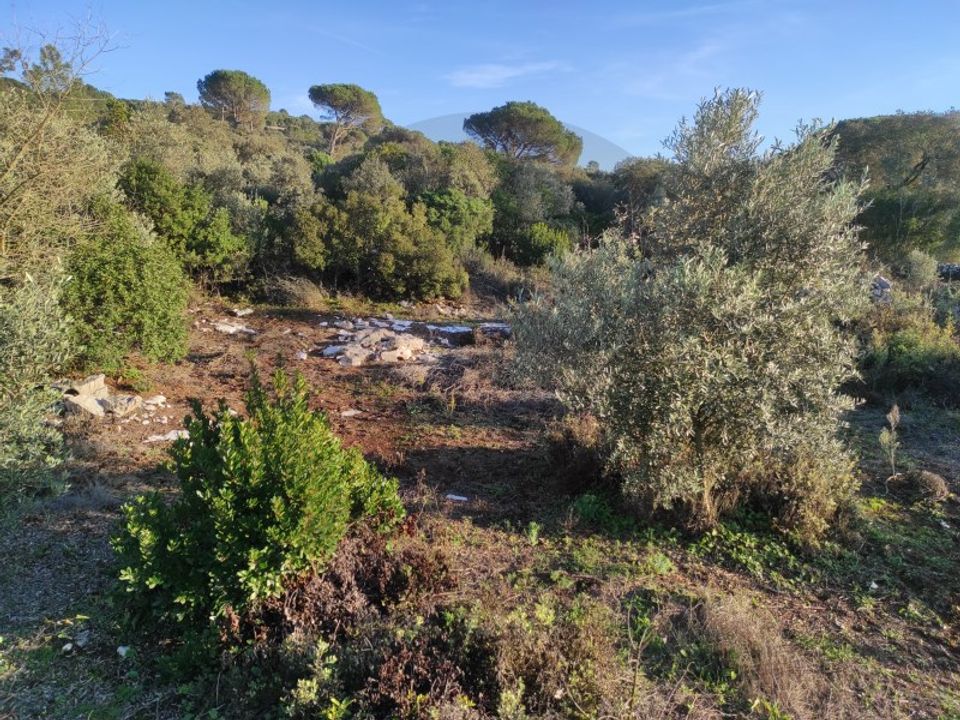 Terreno en Minde, Santarem - foto 1