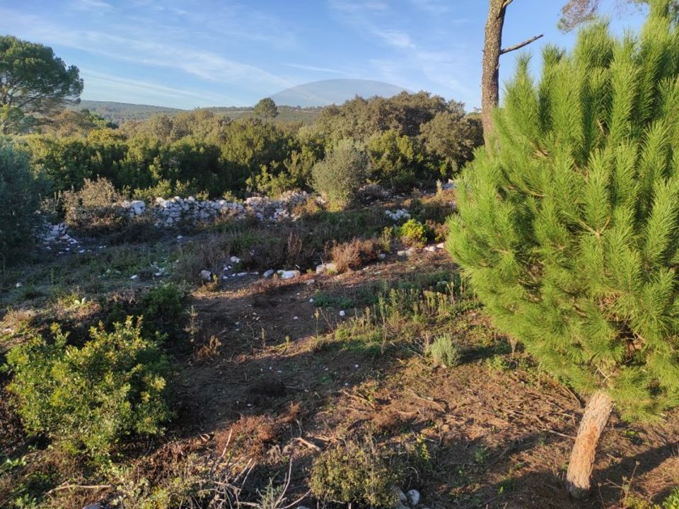 Terreno en Minde, Santarem - foto 3