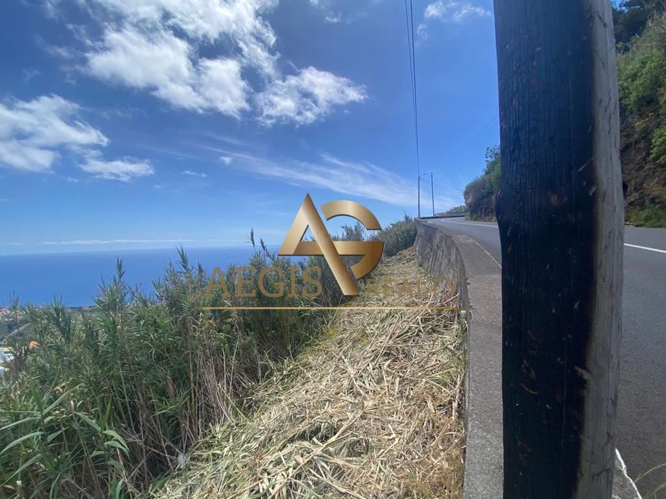 Helårsgrund i Calheta, Madeira - foto 3