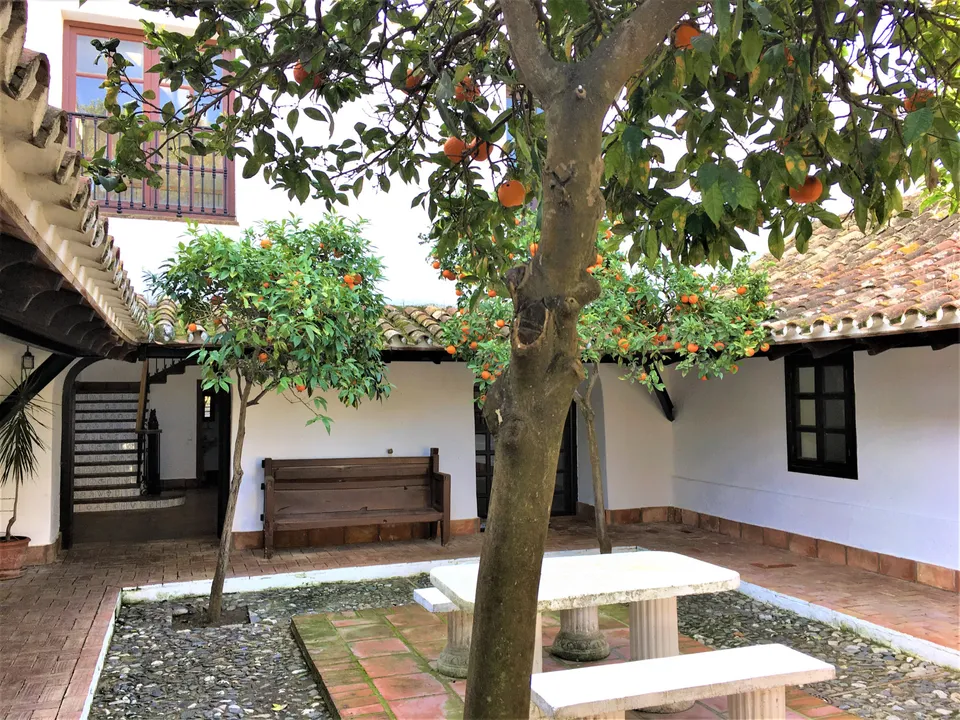 Cortijo i San Enrique De Guadiaro, Cadiz - foto 4