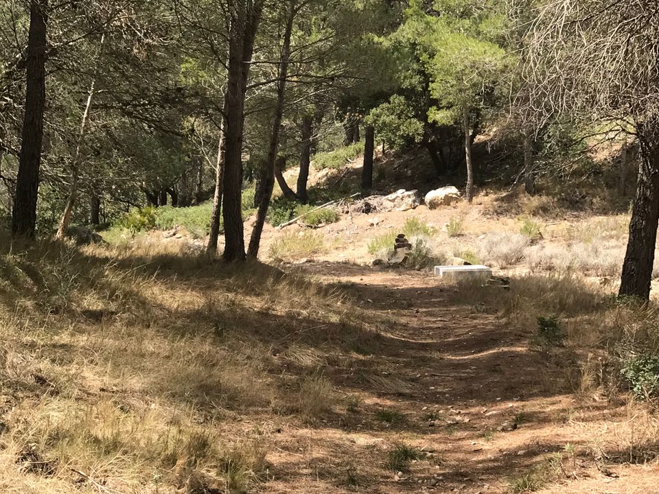 Finca i Prat De Comte, Tarragona - bilde 5