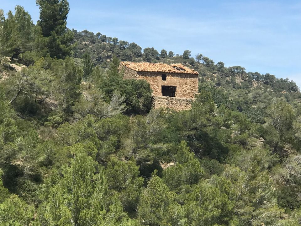 Finca i Prat De Comte, Tarragona - bilde 3