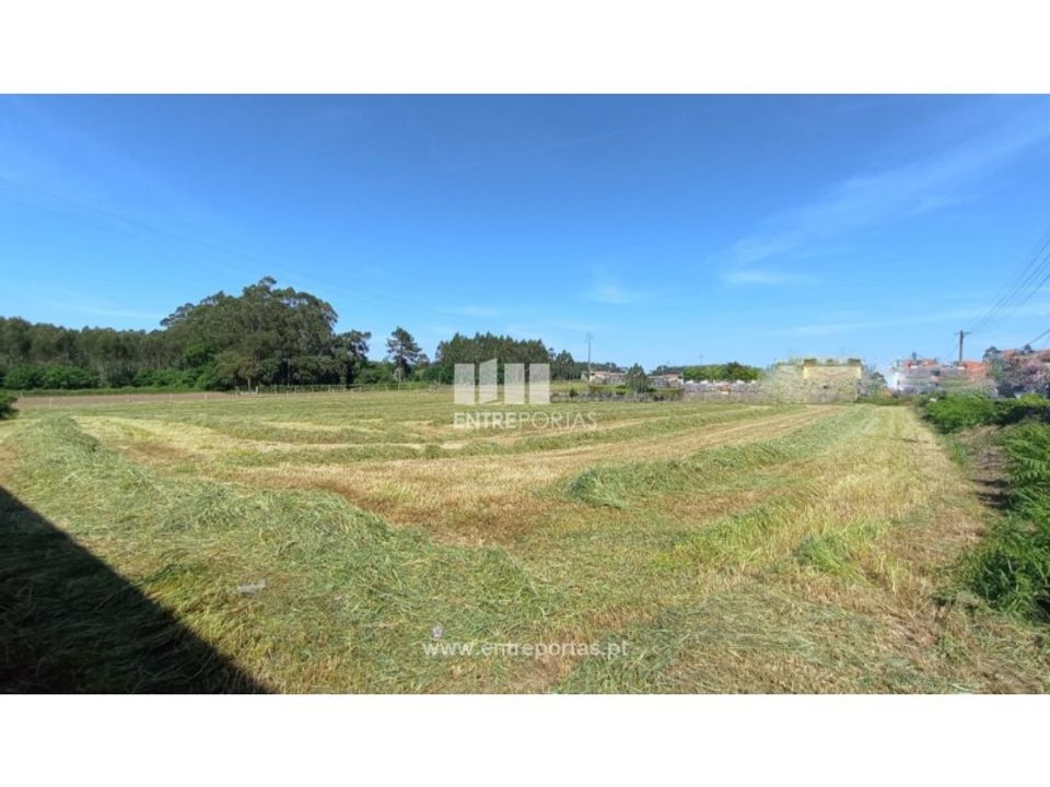 Helårsgrund i Vila do Conde, Porto - foto 2