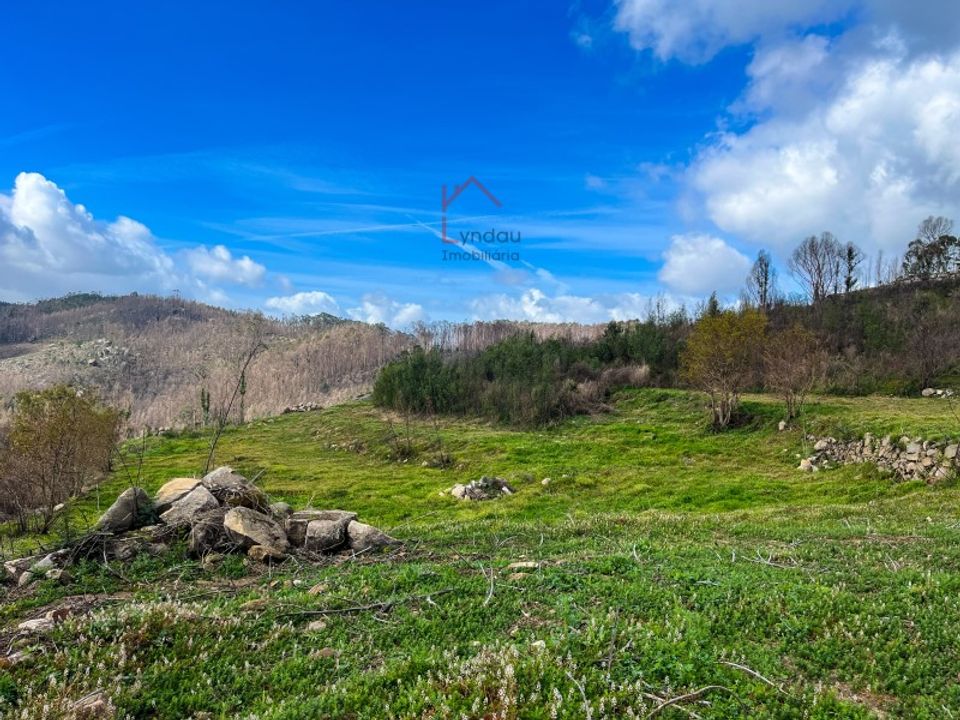 Terra a Joane, Braga - foto 4
