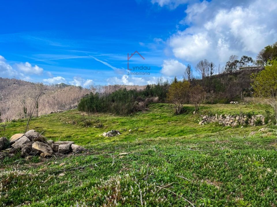 Terra a Joane, Braga - foto 5