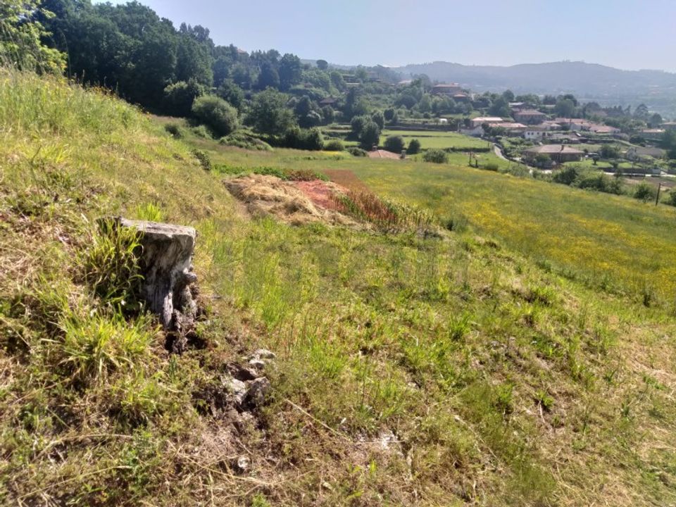Helårsgrund i Paredes de Coura, Viana do Castelo - foto 4
