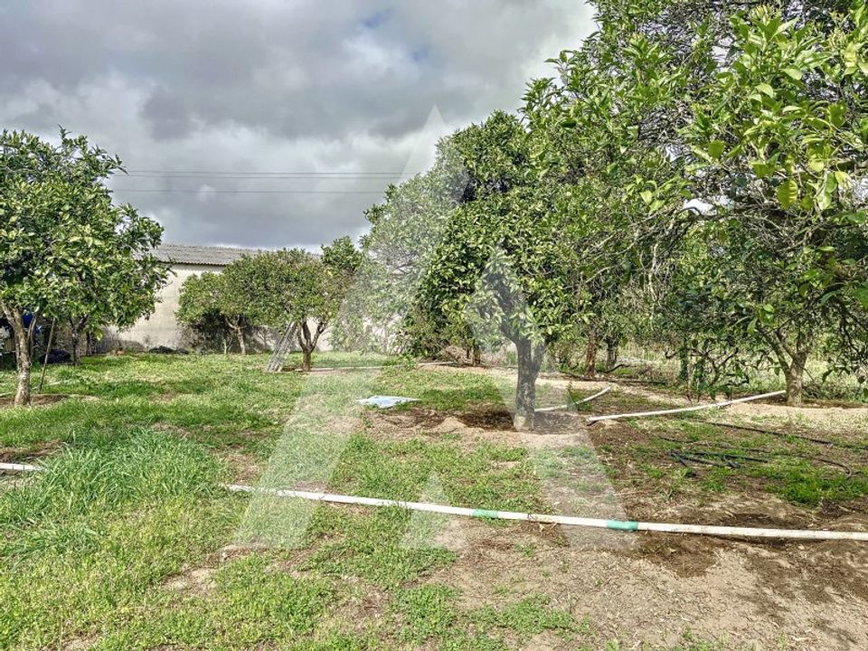 Terra a Parceiros e Azoia, Leiria - foto 1