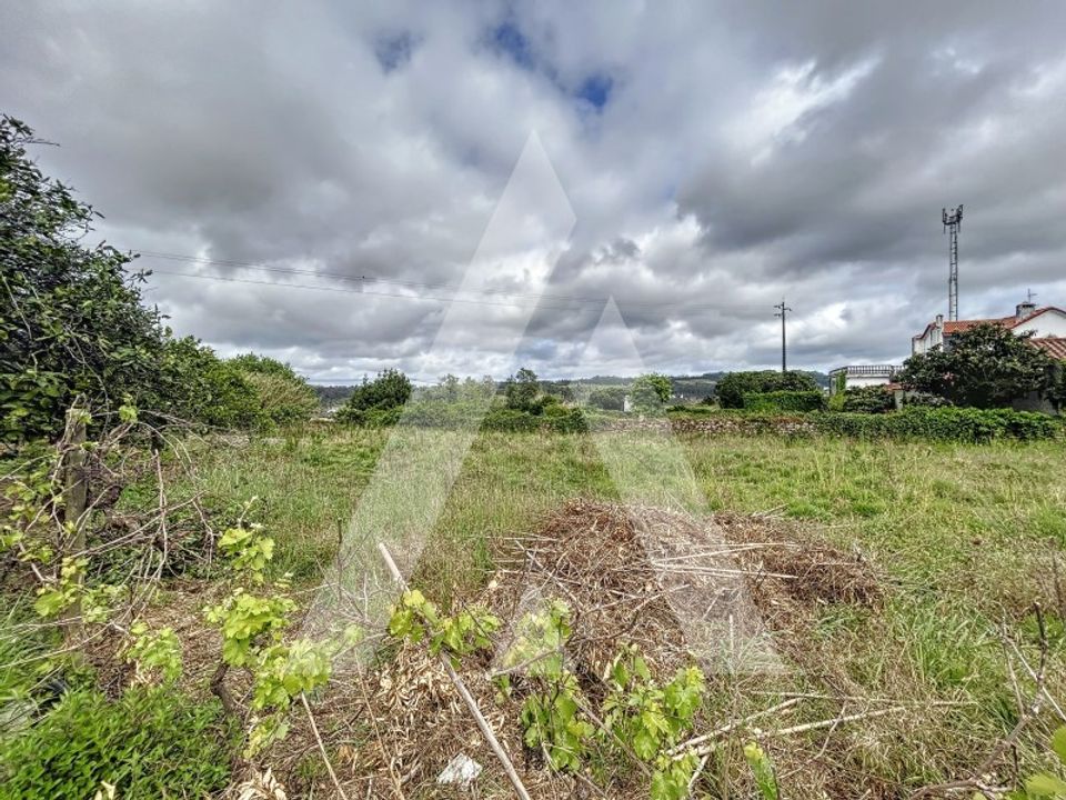 Terra a Parceiros e Azoia, Leiria - foto 4