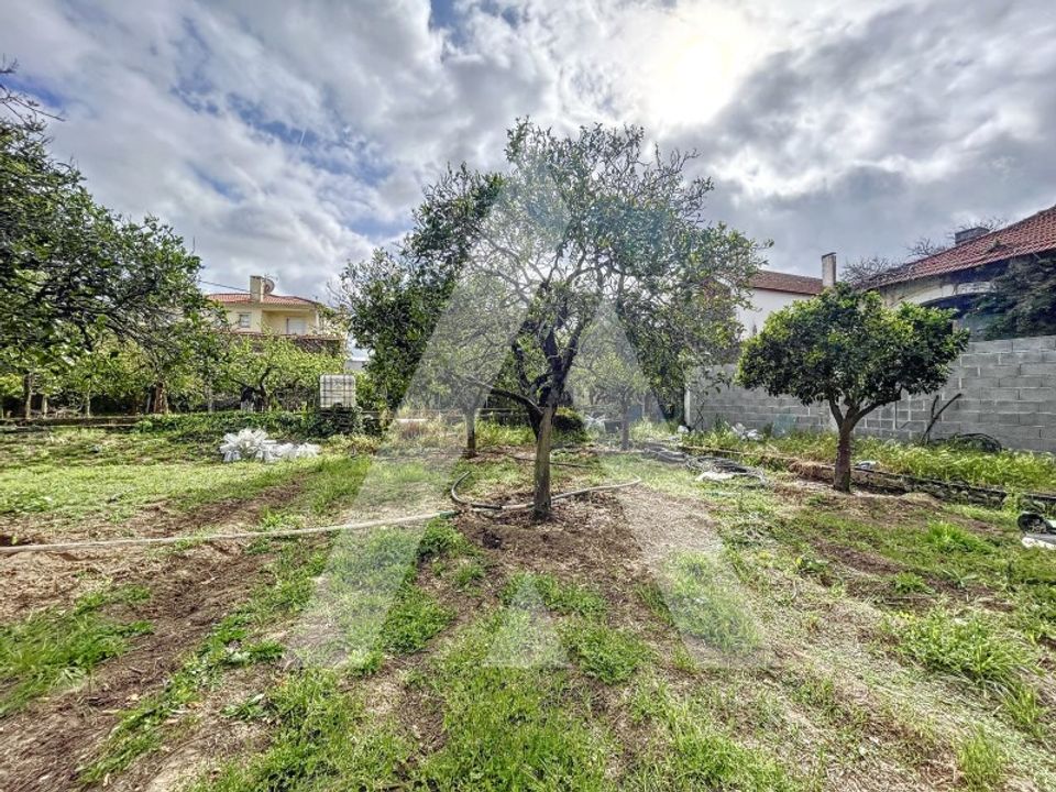 Terra a Parceiros e Azoia, Leiria - foto 5