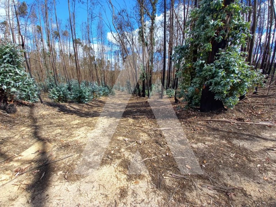 Helårsgrund i Ourem, Santarem - foto 1