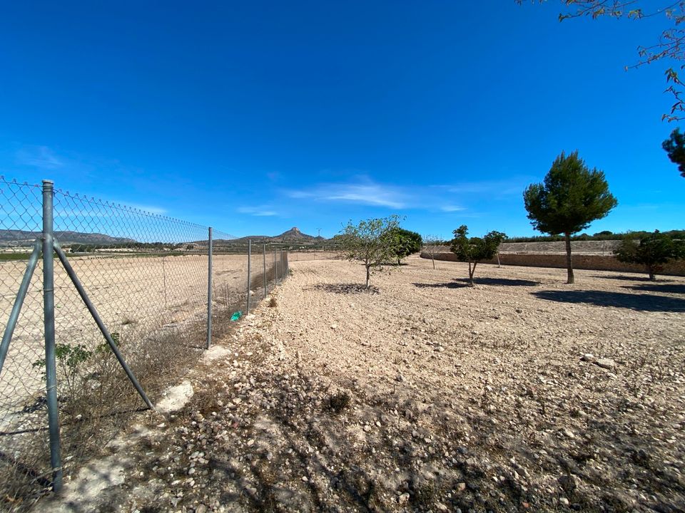 Masia a Salinas, Alicante - foto 3